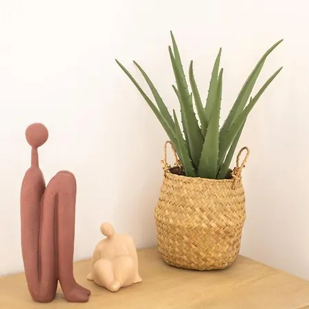 #56 2p Massena Close Promenade,old Town, Ac